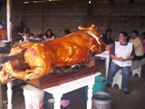 CAecuadorRoastpig