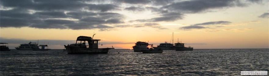 San Cris harbor night